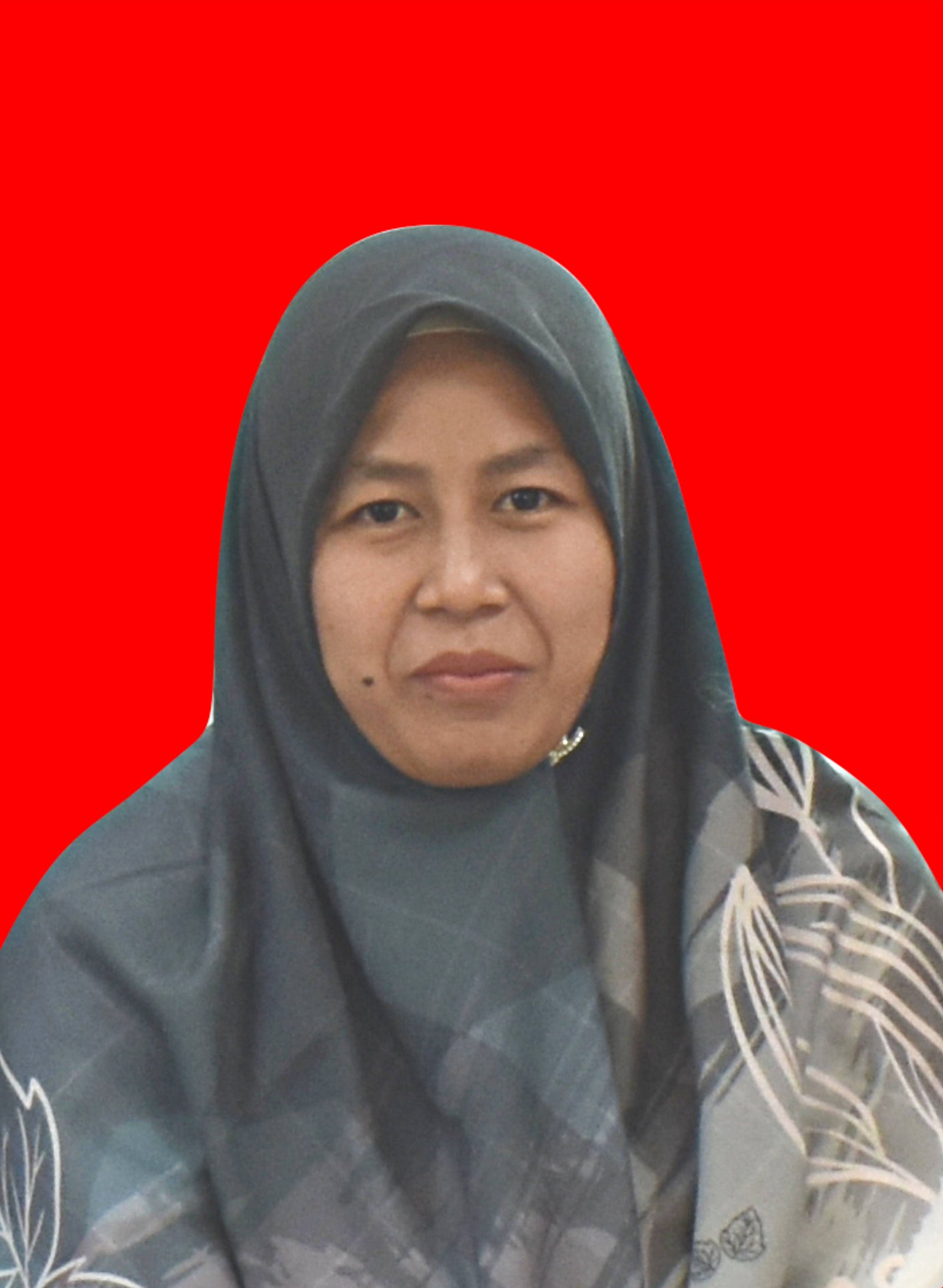 Cut Zona Teca Arta, S.IP