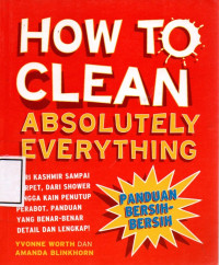 Image of HOW to Clean Absolutely everything